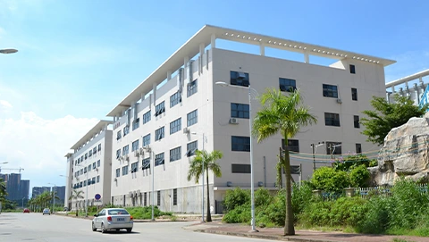 gorlando